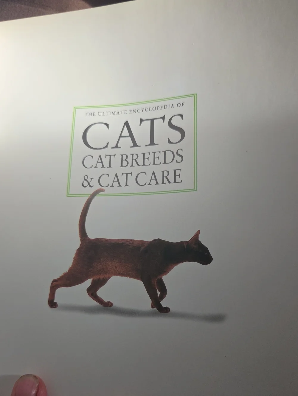 The Ultimate Encyclopedia of Cats: Cat Breeds & Cat Care — Beige Cover